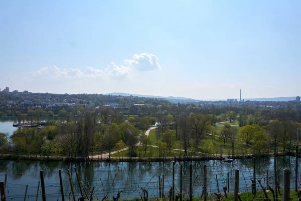 Una Vista Panorámica Del Río Neckar Desde Los Viñedos Terrazas —  Fotos de Stock