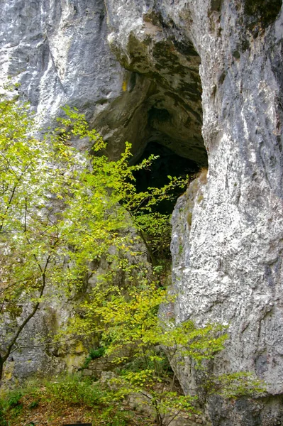 Tir Dans Parc National Des Lacs Plitvice Croatie — Photo