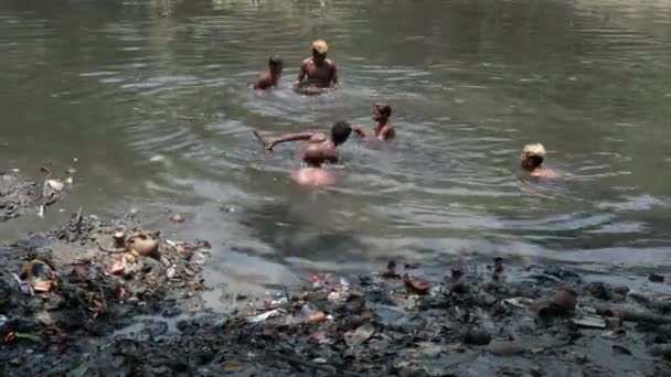 Standing Knee Deep Heavily Polluted Darkened Water Filthy Garbages Local — Stock Video