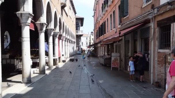 Palacio Ducal Venecia Italia Palacio Ducal Venecia Italia — Vídeo de stock