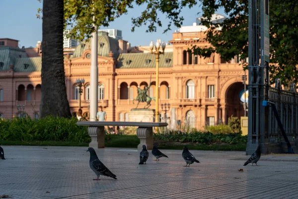 Eine Schöne Aufnahme Des Gebäudes Plaza Mayo Buenos Aires Argentinien — Stockfoto