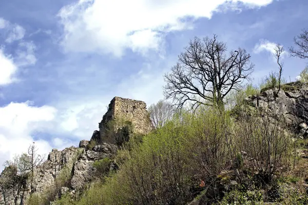 Знімок Скелястої Гори — стокове фото