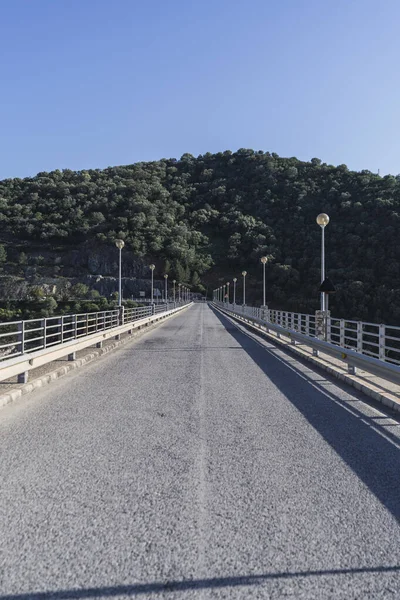 Colpo Verticale Una Strada Ponte Natura — Foto Stock