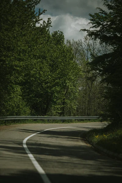 Eine Kurvenreiche Straße Grünen Umgeben Von Dicken Grünen Bäumen Unter — Stockfoto