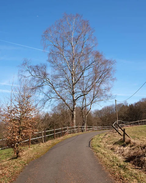 Vertical Shot Countryside Road Bergischer Panoramasteig Bergisches Land Germany — Stock Photo, Image