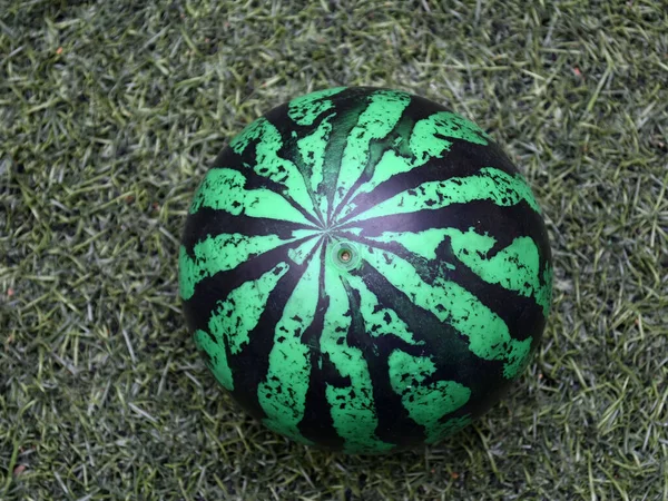 人工芝の上にスイカの色のおもちゃのボールのショット — ストック写真