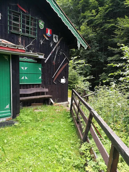 森の背景にため息をつく緑と黒の家の垂直ショット — ストック写真