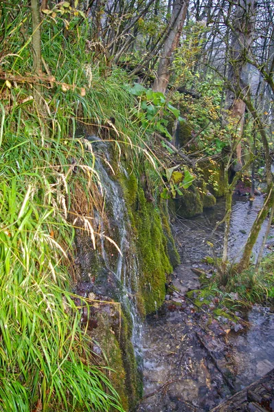 Uma Foto Parque Nacional Dos Lagos Plitvice Croácia — Fotografia de Stock