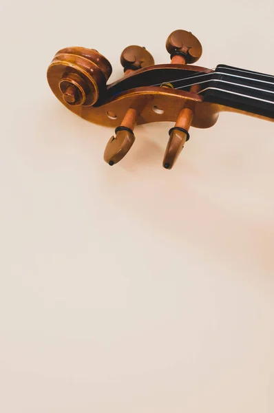 Eine Vertikale Nahaufnahme Einer Violinrolle Auf Einer Glatten Rosa Wand — Stockfoto