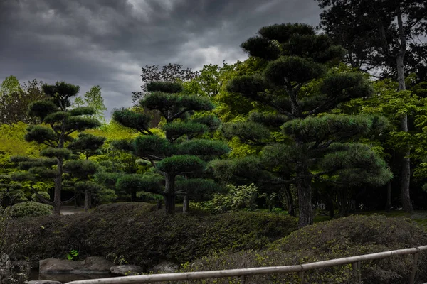Bellissimi Alberi Verdi Lussureggianti Nel Giardino Giapponese Nordpark Sotto Cielo — Foto Stock