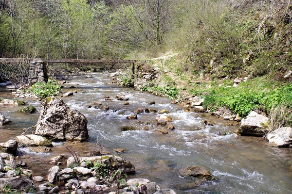 Landscape Rocky River — Stock Photo, Image