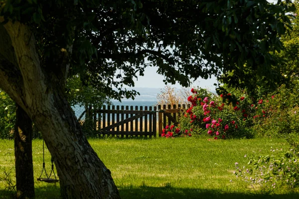 Снимок Красивого Сада Деревянным Забором — стоковое фото