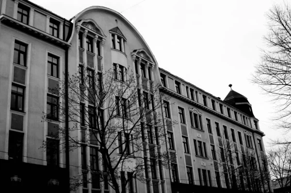 Сірий Знімок Фасаду Будівлі Дерев Передньому Плані — стокове фото