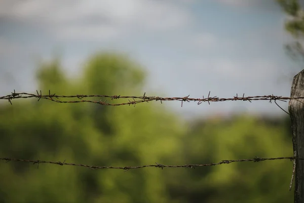 背景には木々や空がぼやけている木製の柵の上にねじれた銅線のクローズアップショット — ストック写真