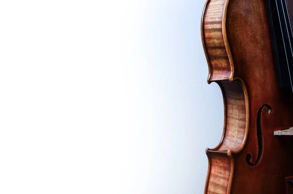 白い背景に美しく手作りのバイオリンのクローズアップショット — ストック写真