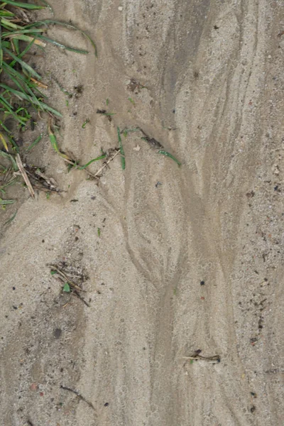 Top View Sandy Floodway Field — Stock Photo, Image