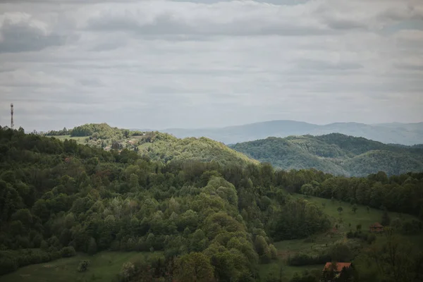 Piękny Krajobraz Grubych Drzew Zboczu Wzgórza Poniżej Zachmurzone Szare Niebo — Zdjęcie stockowe