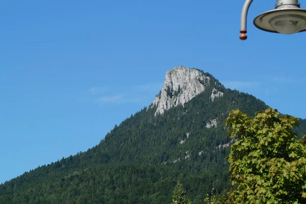 Uma Floresta Montanhosa Cênica Fundo Azul Céu — Fotografia de Stock