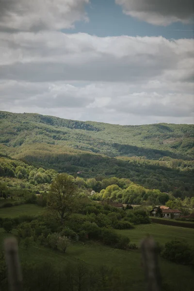 Een Verticaal Schot Van Een Prachtig Groen Landschap Met Bomen — Stockfoto