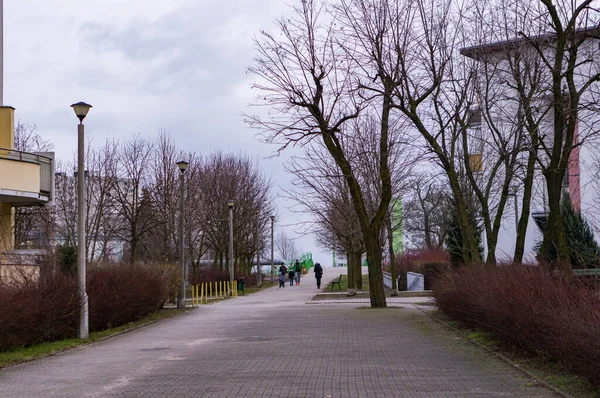Poznan Polska Stycznia 2018 Ludzie Chodzący Ścieżką Wzdłuż Budynków Drzew — Zdjęcie stockowe