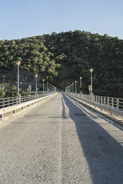 Colpo Verticale Una Strada Ponte Natura — Foto Stock