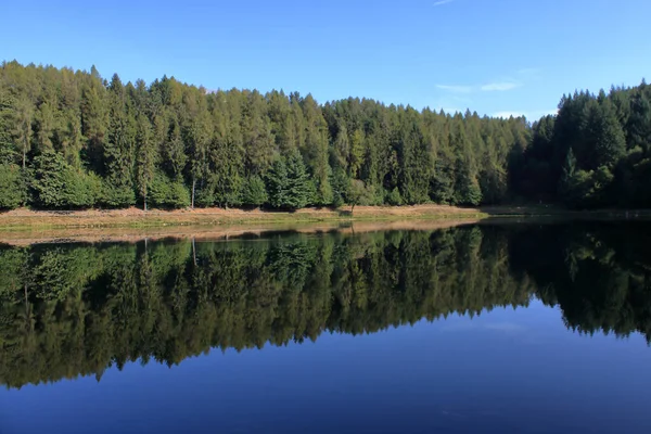 Een Alpenmeer Met Naaldbos Achtergrond Zijn Reflectie Het Water Valchiusella — Stockfoto