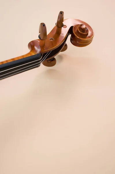 枫木小提琴卷轴的垂直截图 有钉子和部分指板可见 — 图库照片