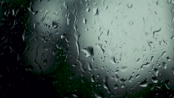 Rain Drops Glass Window Rainy Weather — Stock Video