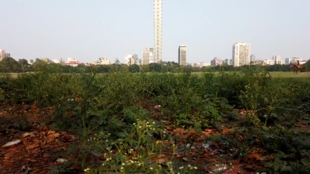 Clear Blue Sky Summer Day Residential Skyscraper Kolkata Currently Tallest — Stock Video