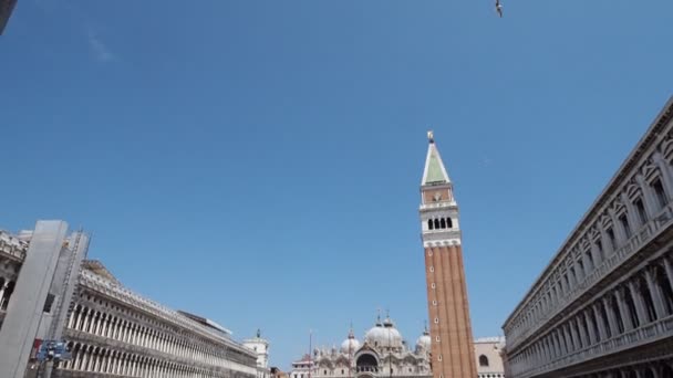 Doge Palace Veneza Itália Doge Palace Veneza Itália — Vídeo de Stock