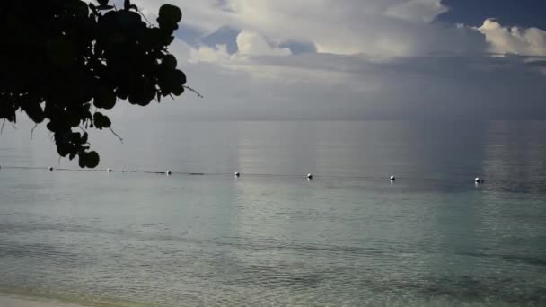 Bred bild av en liten holme på kroppen av havet i fjärran under en klarblå himmel — Stockvideo
