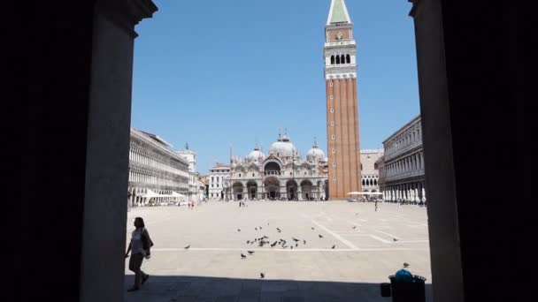 Doge Palace Venice Italy Doge Palace Venice Italy — Stock Video