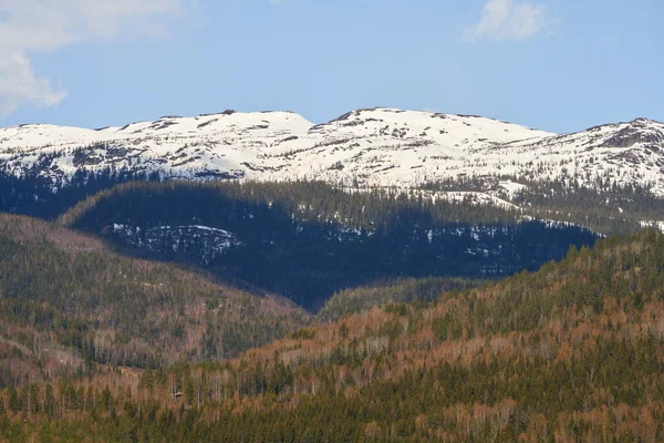 Eine Schöne Aufnahme Der Waldbäume Und Schneebedeckten Berge Norwegen — Stockfoto