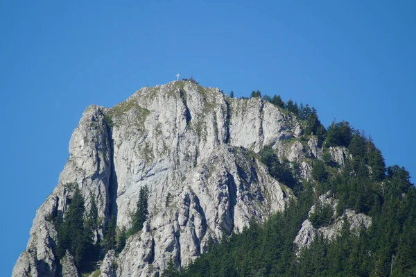 Nahaufnahme Eines Hohen Felsens Der Von Wald Umgeben Ist — Stockfoto