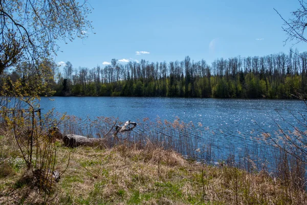 昼間は木々に囲まれた静かな湖の景色 — ストック写真