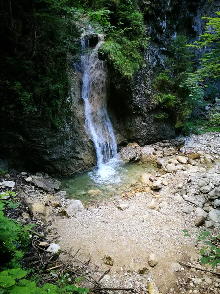 Tiro Vertical Uma Bela Cachoeira Uma Pequena Piscina Água Floresta — Fotografia de Stock