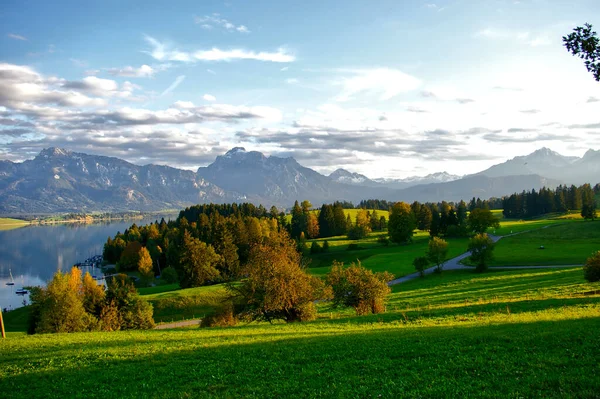 Krásná Zelená Země Stromy Blízkosti Jezera Forggensee Allgau Německo Během — Stock fotografie