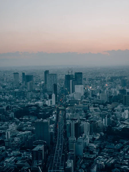 Okouzlující Pohled Město Tokio Při Západu Slunce — Stock fotografie