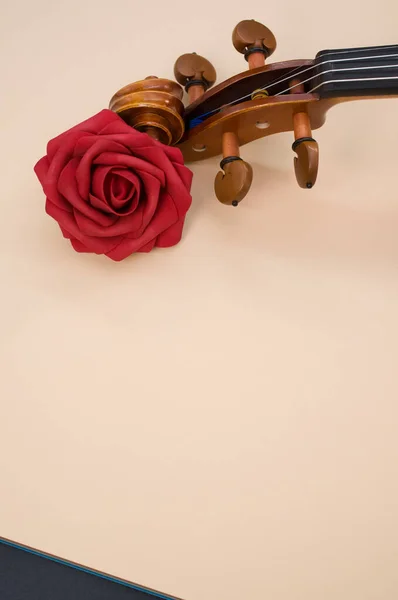 Вертикальний Знімок Однієї Червоної Троянди Поруч Скрипкою Якому Рожевому Фоні — стокове фото
