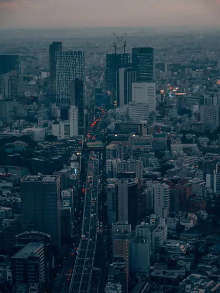 Japonya Daki Tokyo Şehrinin Dikey Görüntüsü — Stok fotoğraf