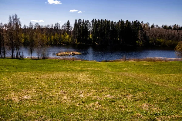Una Vista Panorámica Tranquilo Lago Rodeado Árboles Durante Día — Foto de Stock