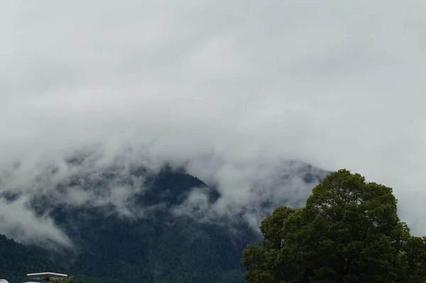 Eine Schöne Aufnahme Von Bergwald Mit Wolken Bedeckt — Stockfoto