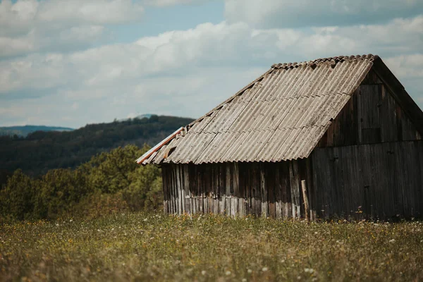 Une Cabane Isolée Campagne Sur Champ Herbe Fleurs — Photo