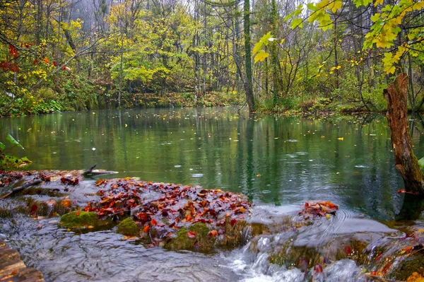 Uma Foto Parque Nacional Dos Lagos Plitvice Croácia — Fotografia de Stock