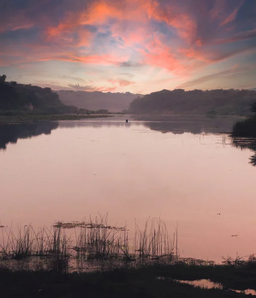 Mesmerizing View River Surrounded Greens Gleaming Pink Cloudy Sky — Fotografia de Stock