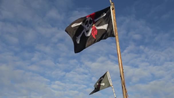 Μια Απόδοση Μιας Μαύρης Σημαίας Ανθρώπινο Κρανίο Και Οστά Στο — Αρχείο Βίντεο