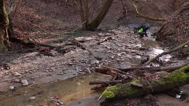 在高清森林里一个男人用树枝和石头在小河里洗手的高角图 — 图库视频影像