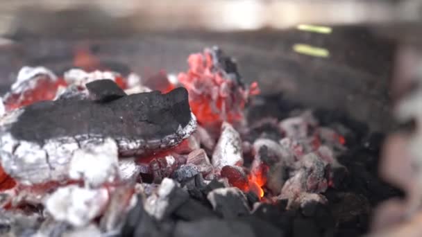 Fire Burning Barbecue — Stockvideo