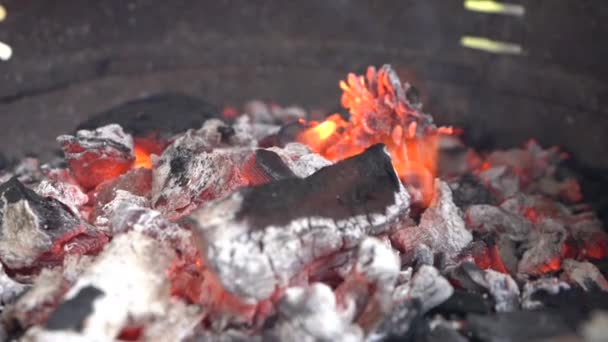 石炭に火をつけ — ストック動画
