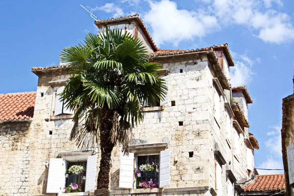 Plan Une Façade Bâtiment Avec Une Paume Face — Photo